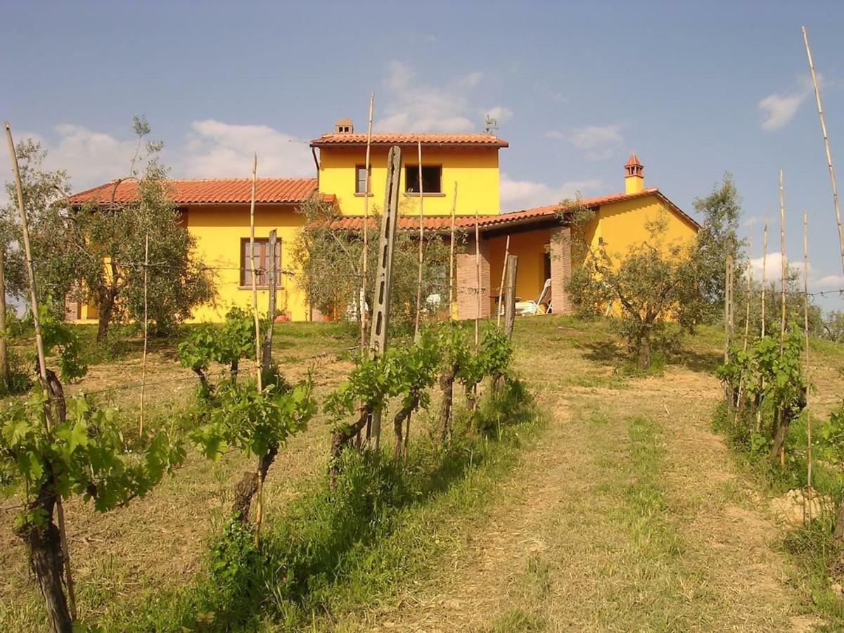Villa In Campagna Costa Al Bagno Montopoli in Val dʼArno Eksteriør bilde