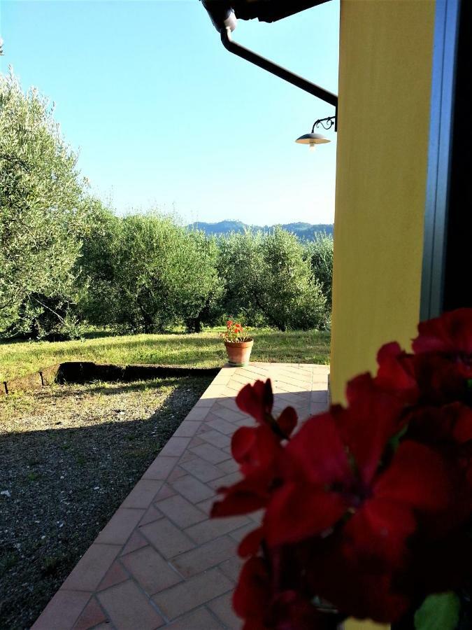 Villa In Campagna Costa Al Bagno Montopoli in Val dʼArno Eksteriør bilde
